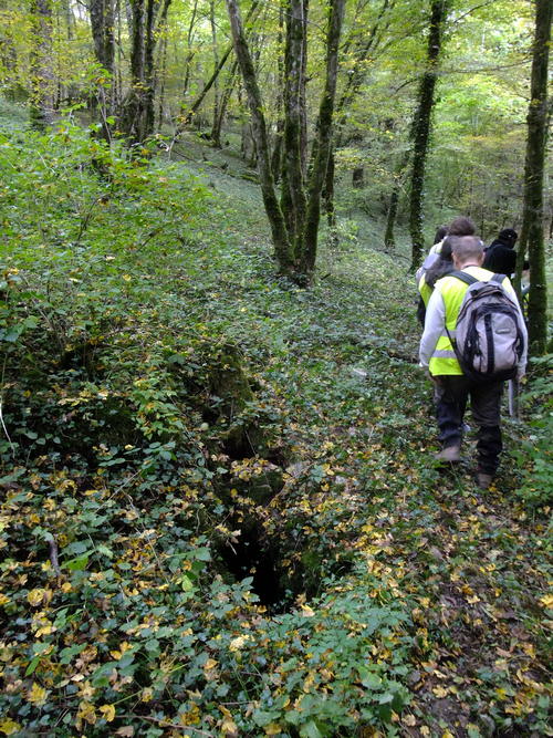 Photo 1 en taille normale