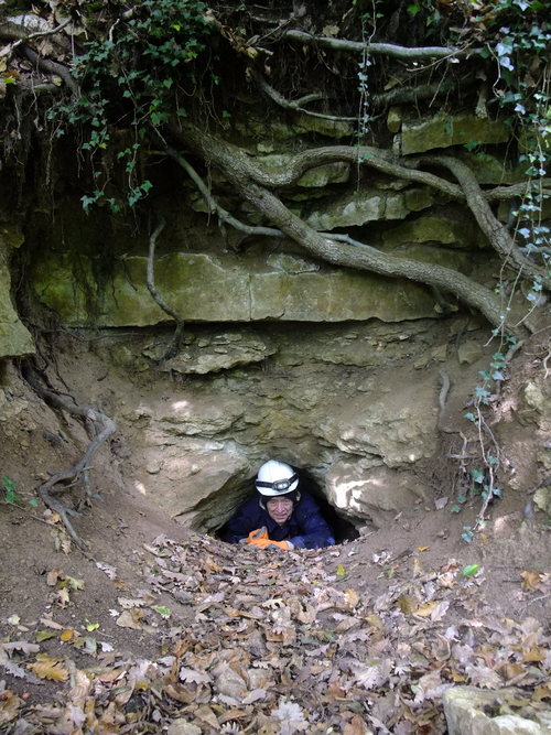 Photo 1 en taille normale