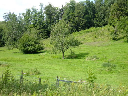 Photo 1 en taille normale
