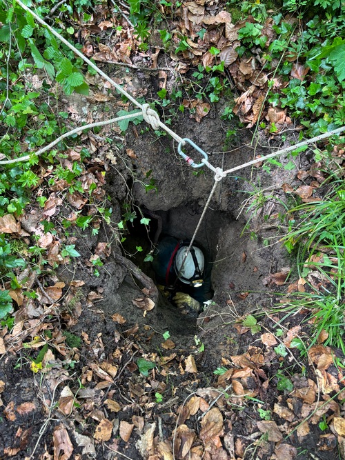 Photo 1 en taille normale